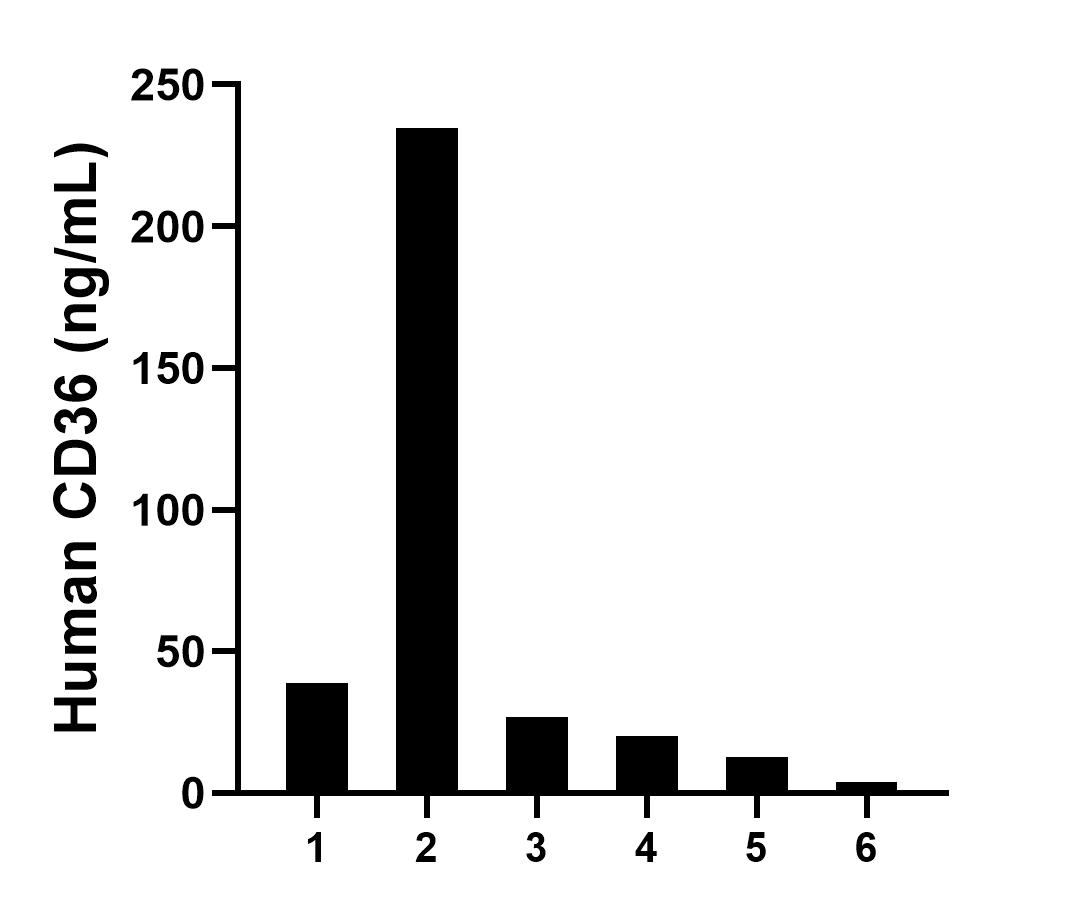 Serum of six individual healthy human donors was measured. The CD36 concentration of detected samples was determined to be 80.10 ng/mL with a range of 3.74-234.72 ng/mL.	